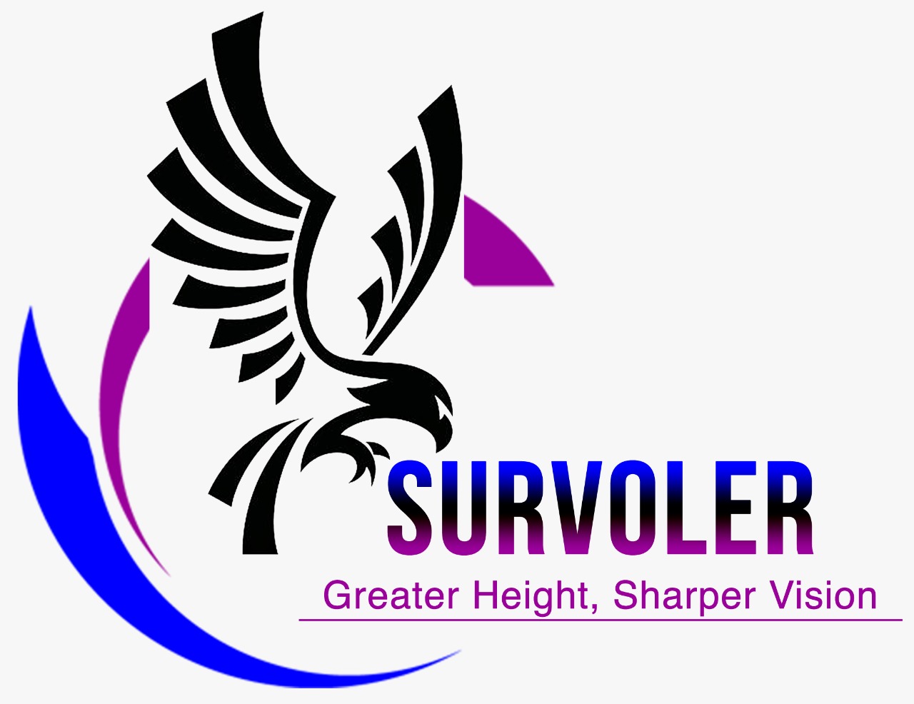 survoler logo